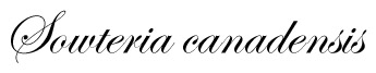 Sowteria canadensis