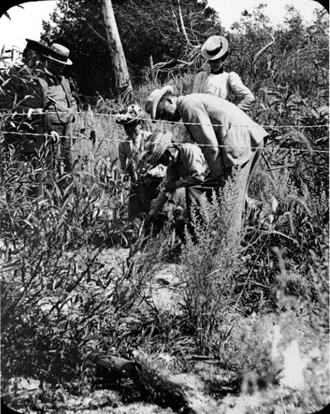 Ottawa Field Naturalists' Club excursion to sand Banks, Prince Edward Co. Photo H.M. Ami.